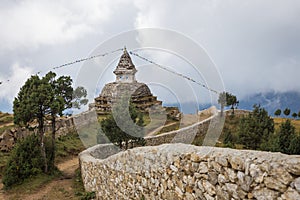 Nepali buddhist stupa.