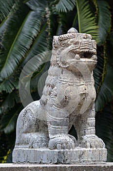 Nepali lion