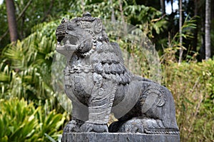 Nepali lion