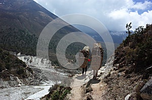 Nepali women carrying baskets in traditional way in Himalayas