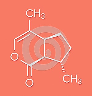 Nepetalactone catnip cat attractant molecule. Skeletal formula. photo