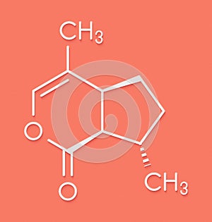 Nepetalactone catnip cat attractant molecule. Skeletal formula.