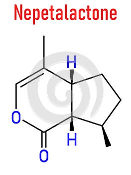 Nepetalactone catnip cat attractant molecule. Skeletal formula. photo