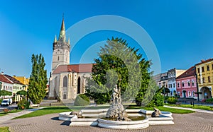 Neptune Fountain and Cathedral of Saint Nicholas in Presov, Slovakia