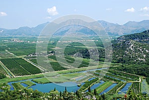 Neretva river delta in Croatia