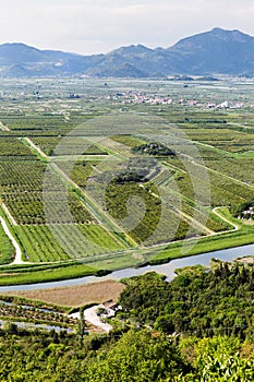 Neretva river delta in Croatia. Europe