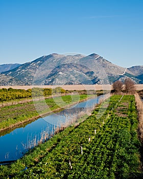 Neretva valley with hills in distance