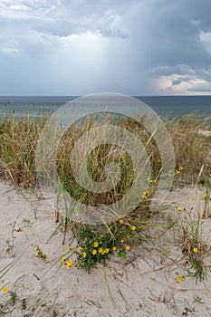 Neringa peninsula, Lithuania