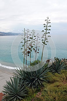 Nerja beach at Balcon de Europa in Andalusia, Spain