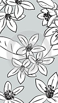 Neroli or orange flowers on grey, background for stationery, flower bookmark for planner