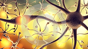 Nerve Cell photo
