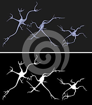 Nerve cells with alpha mask for easy extraction