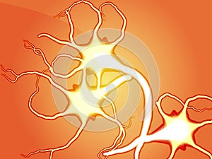 Nerve cells illustration