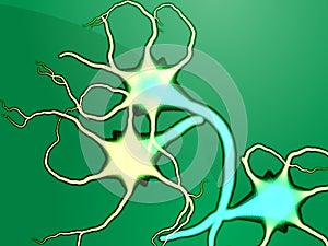 Nerve cells illustration