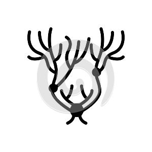 Black solid icon for Nerve, artery and structure