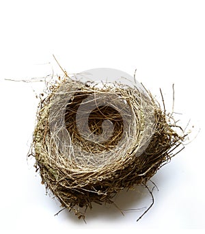 Nest