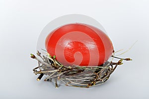 The nest with ostrich easter egg