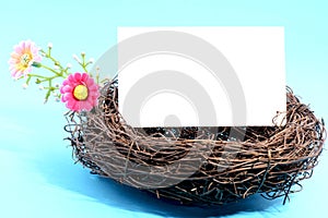 Nest with a blank card