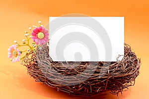 Nest with a blank card