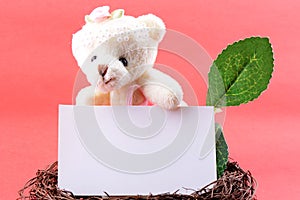 Nest with a blank card and toy teddy bear