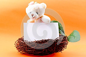 Nest with a blank card and toy teddy bear
