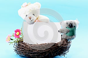 Nest with a blank card and toy teddy bear