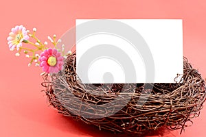 Nest with a blank whtie card