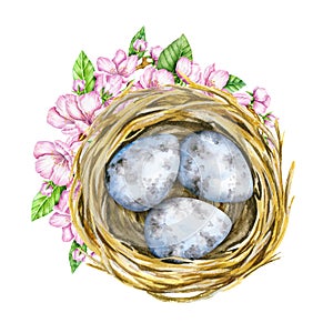 Nest and blue eggs in bloom. Top view. Basket with eggs. Watercolor illustration.