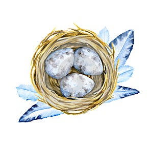 Nest and blue eggs with fethers. Top view. Basket with eggs. Watercolor illustration.