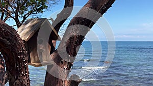 Nest box bird wooden house on a tree near the sea