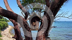 Nest box bird wooden house on a tree near the sea