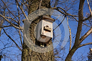 Nest box / Birdbox