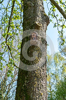 Nest box / Birdbox -  house for bird animal. Small wooden building on the  tree in the autumn and winter