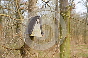 Nest box with the number 877 in the Biederitzer Busch, a forest area near Magdeburg