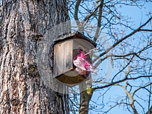 Nest box with plastic waste animal welfare