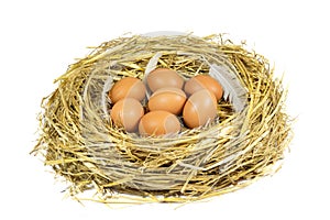 Nest with Brown Chicken Eggs and Pen Isolated on White