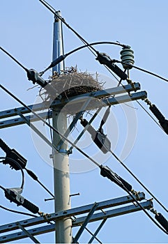 A nest built on a telephone pole under the blue sky.
