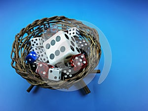 Nest with colored dice inside , on blue background