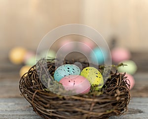 Nest with colorful eggs on aged wood