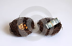 A nest containing dollars and a nest containing golden eggs.