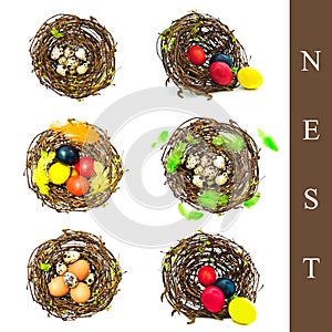 Nest with different eggs