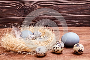 Nest with Easter colored chicken eggs and quail eggs and feathers on wooden table. Catholic and orthodox easter holiday