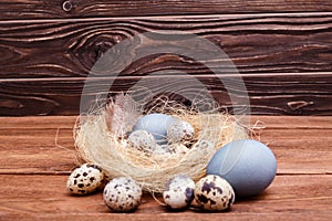 Nest with Easter colored chicken eggs and quail eggs and feathers on wooden table. Catholic and orthodox easter holiday