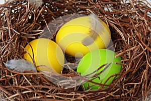 Nest with easter eggs