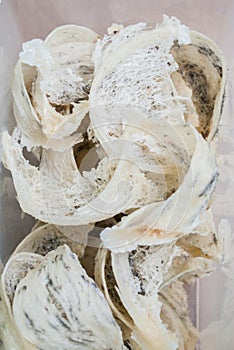 Nest of Edible-Nest Swiftlet, Raw food