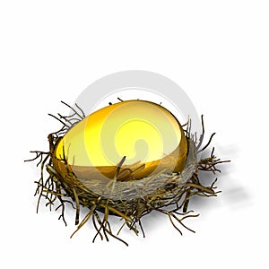 Nest Egg 1