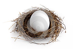 Nest Egg photo