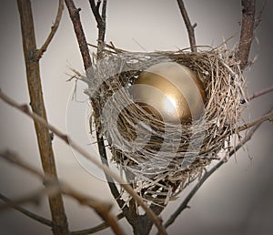 Nest Egg 2