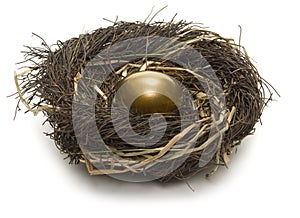 Nest Egg