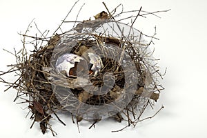 Nest Egg Cracked